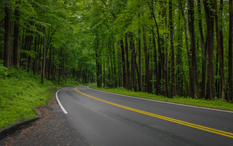 Road Coating Service